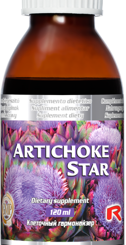 Artichoke Star