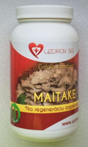 Maitake - huba