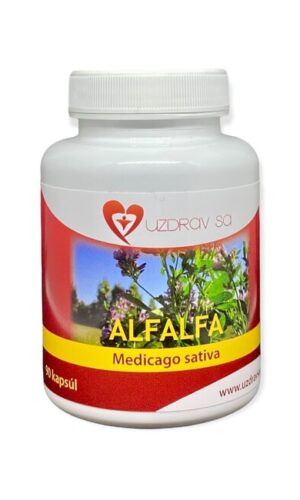 Alfalfa - lucerna 90 cps