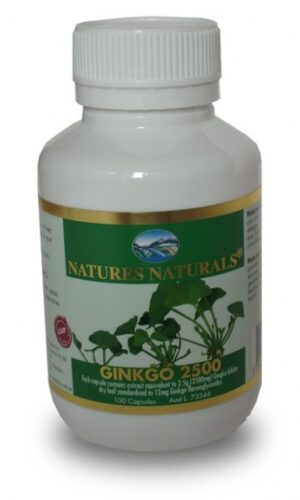 GINKGO 2500 - Ginkgo Biloba 2500 mg - Ginko - 100 kapsúl