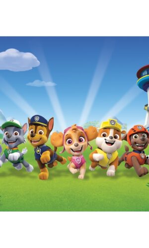 Detské prestieranie Paw Patrol